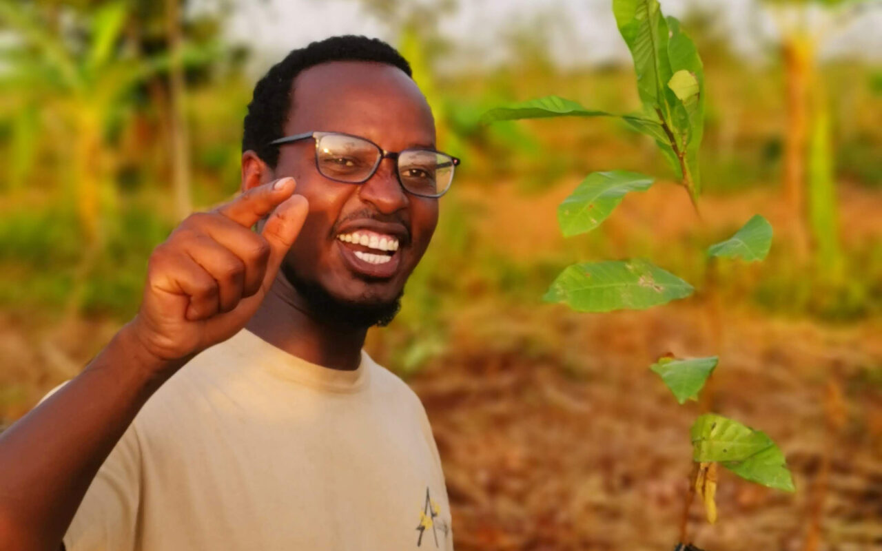 Click a tree baum pflanzen