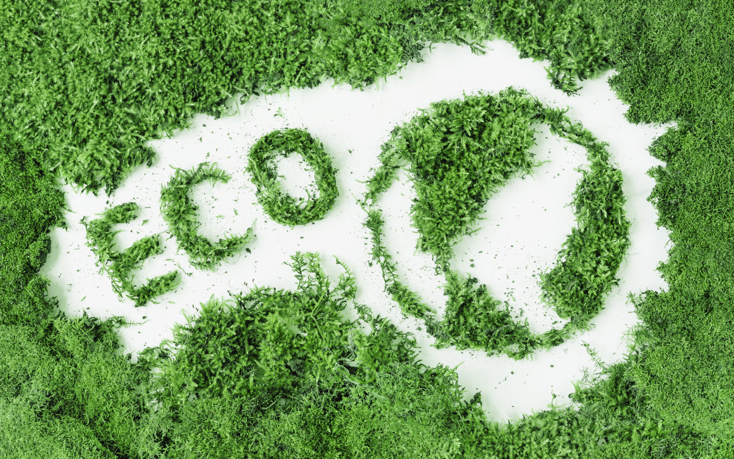 Das Wort Eco ist in einem Moosfeld sichtbar.