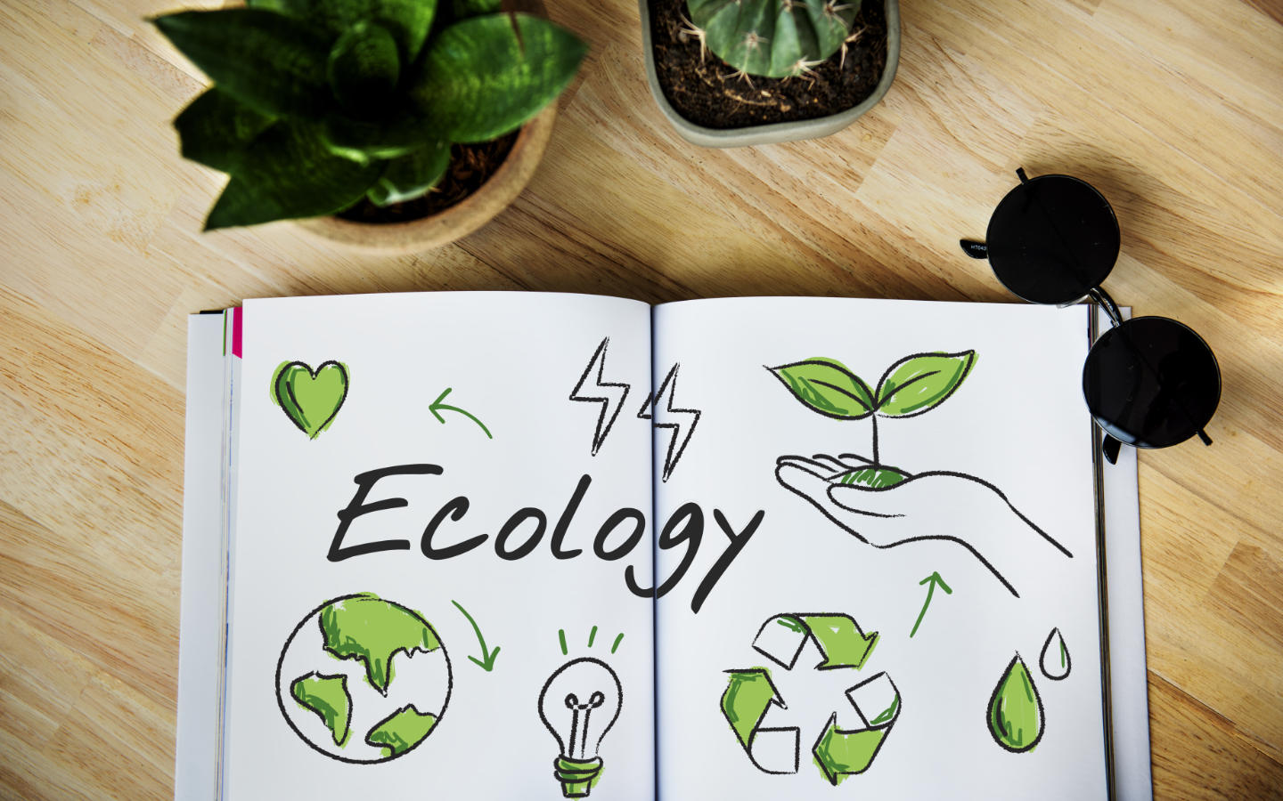 Aufgeschlagenes Buch mit grünen Symbolen für Nachhaltigkeit und Umweltschutz