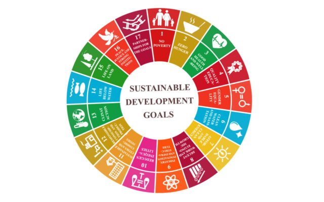 Darstellung der SDGs