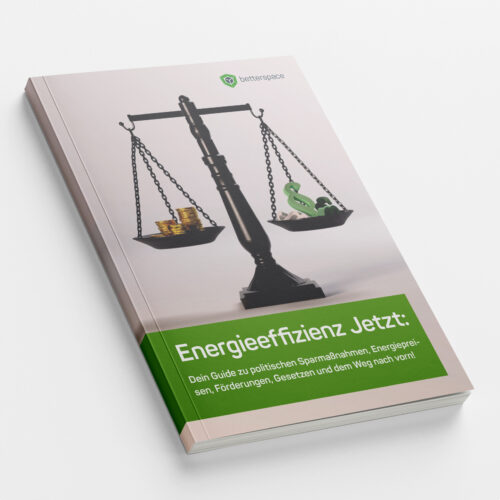 20241001_BE_Whitepaper-Energieeffizienz jetzt_DE