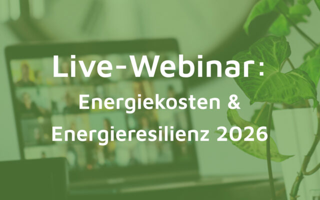 Webinar energieresilienz und energiekosten