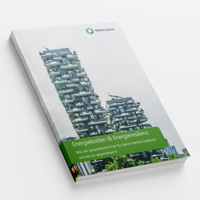 Titel Whitepaper Energieresilienz 2026 Energiekosten & Geopolitische Krisen
