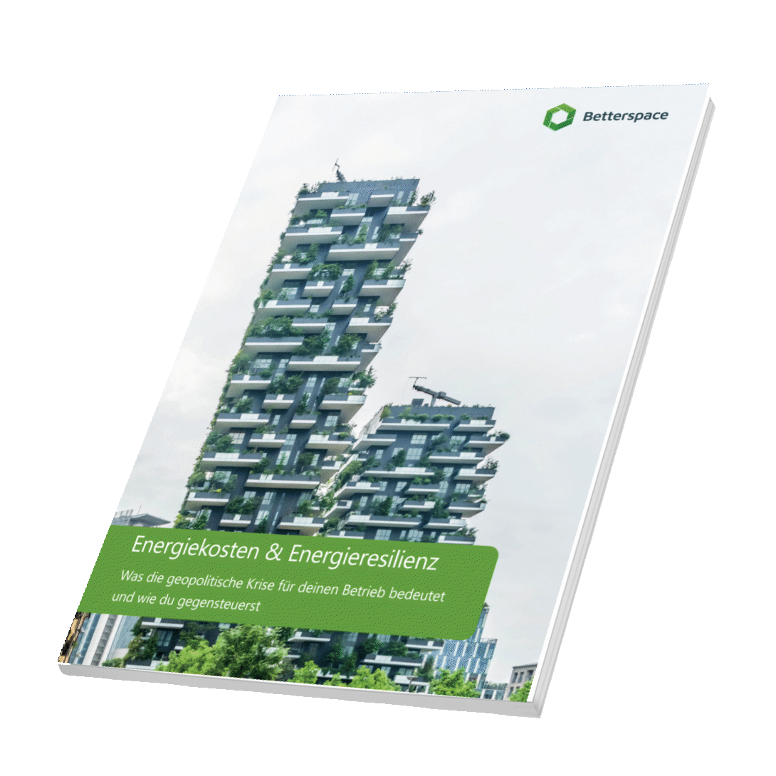Titel Whitepaper Energieresilienz 2026 Energiekosten & Geopolitische Krisen