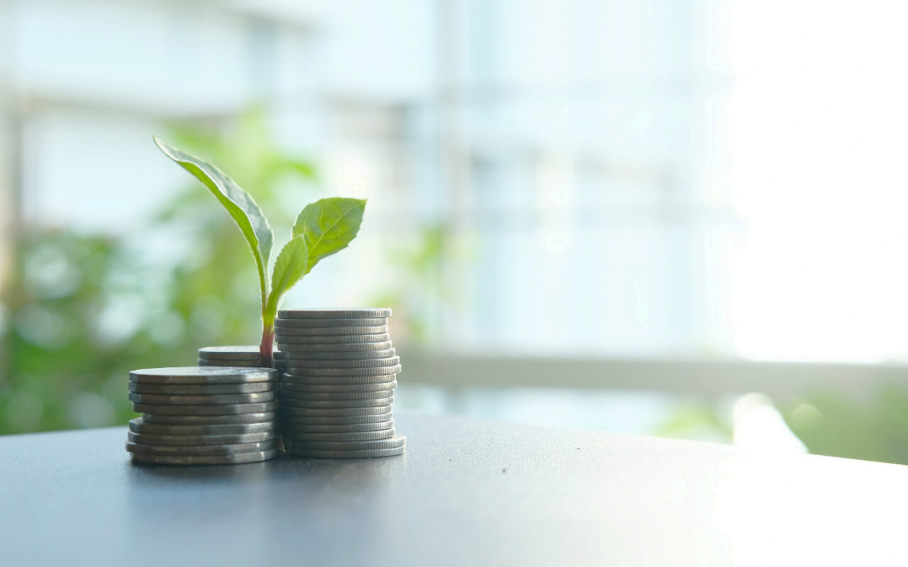 nachhaltige investition tisch pflanze geld