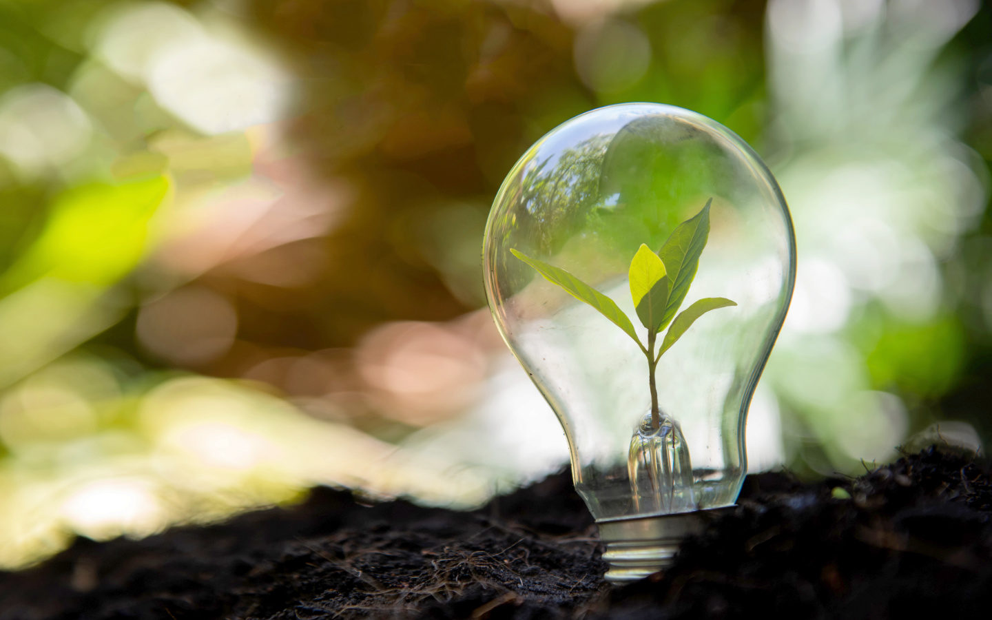 Energy Efficiency First glühbirne erde