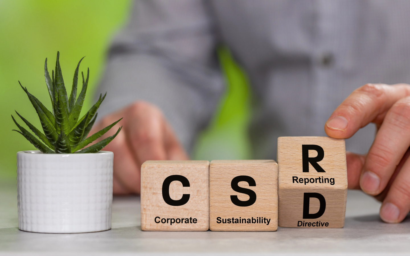 csrd corporate sustainablity reporting directive
